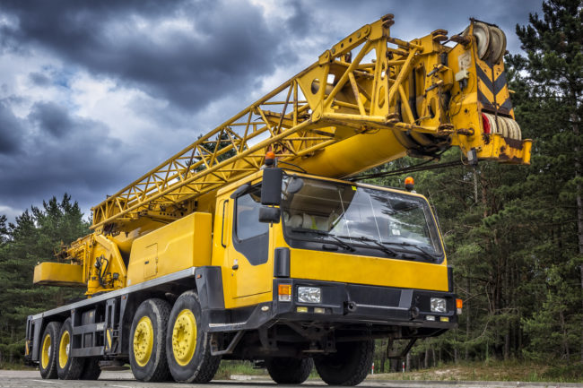 Industrial Crane Services Company for Sale
